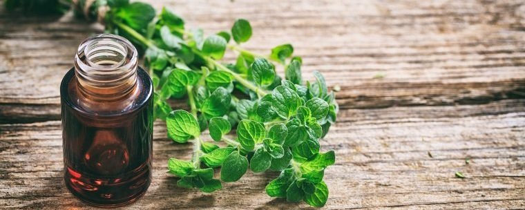 Can Oil Of Wild Oregano Treat Parasitic infections?