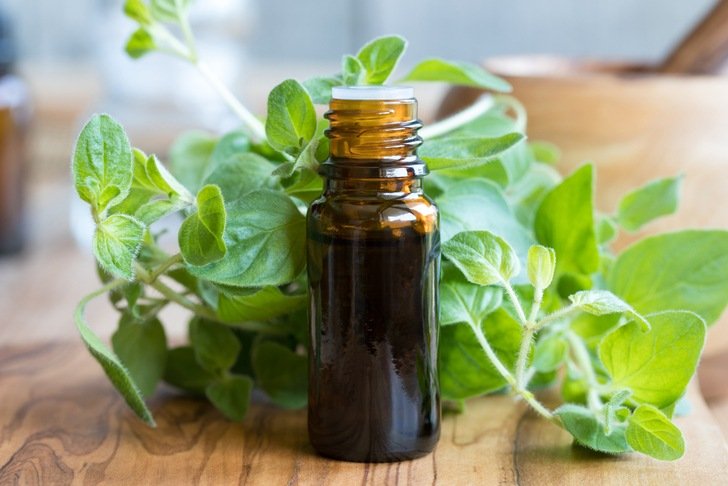 Benefits of Oregano Oil in treating infections, fungus and common cold