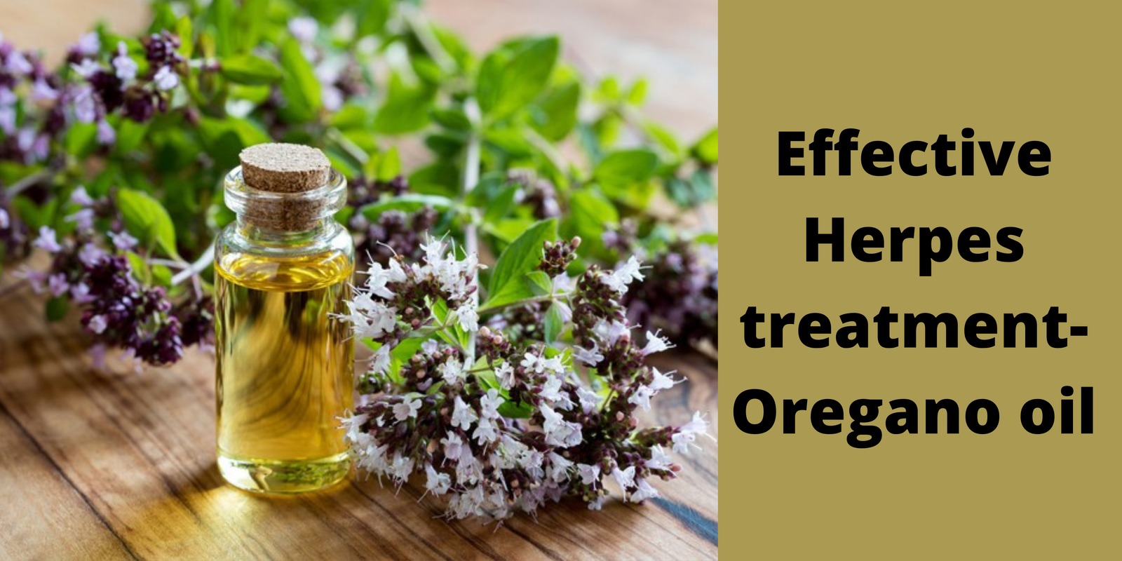 Effective herpes treatment-oregano oil