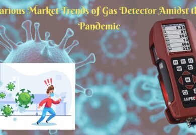 Various Market Trends of Gas Detector Amidst the Pandemic