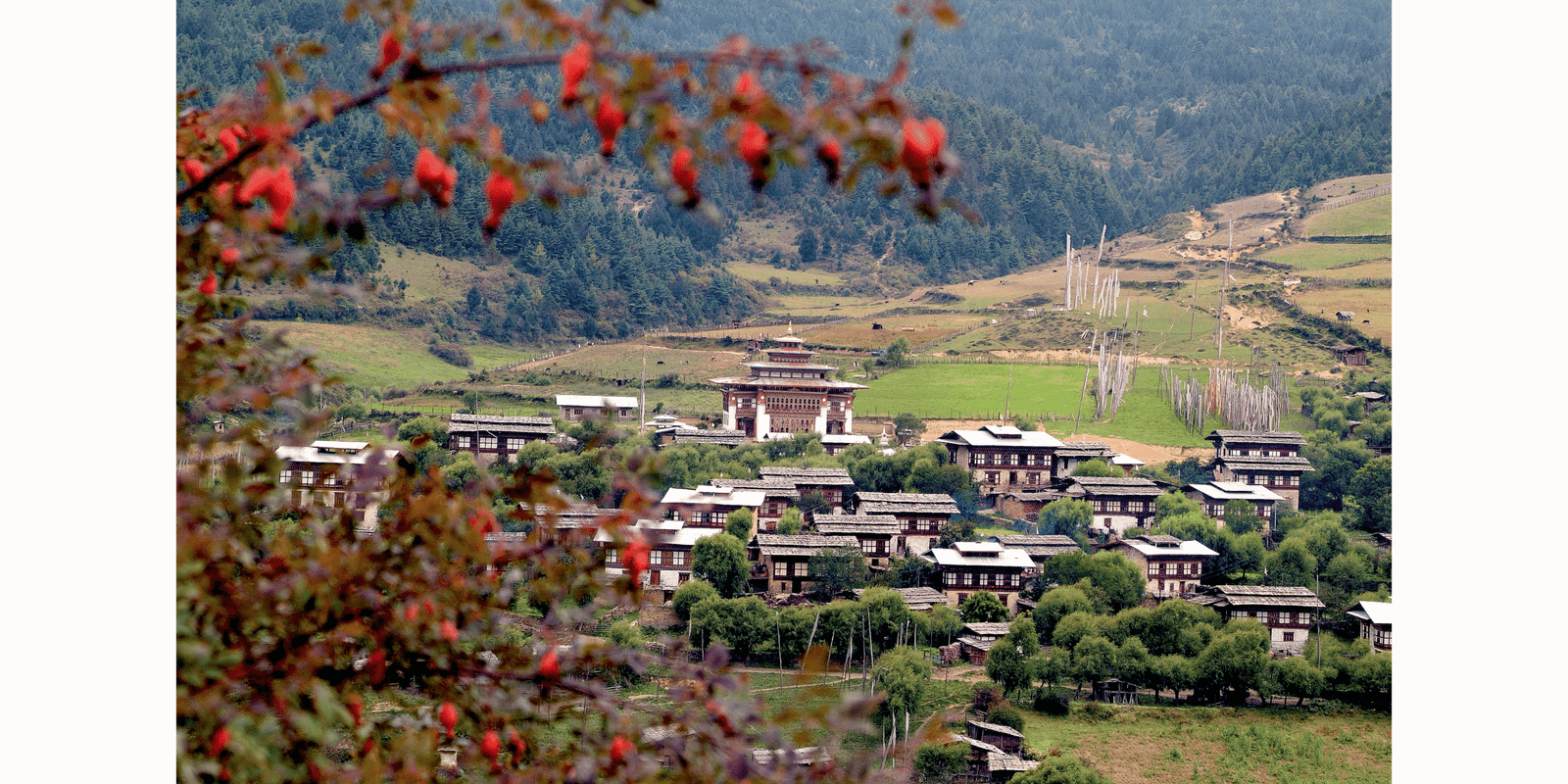 Which is the best tour operator to Bhutan from India?